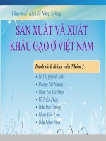 Kinh tế nông nghiệp Việt Nam 