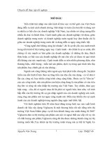 Một số giải pháp tại nhà phân phối NaNo thâm nhập sơn Viglacera vào thị trường sơn Nghệ An