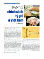 Bàn về chính sách tỷ giá ở Việt Nam