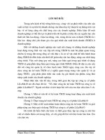 Tổ chức công tác kế toán tài sản cố định tạo công ty cổ phần Lilama10