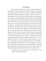 Chiến lược mở rộng thị trường cho dòng sản phẩm xe tay ga Air Blade