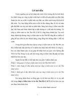 tổ chức kiểm toán tại công ty kiểm toán và tư vấn Thủ Đô(CACC)