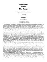 Khakhanate Book I The Raven