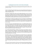 Sự đối lập giữa lợi ích cảm tính và lợi ích lí tính của thương hiệu