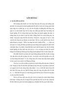 Đánh giá thành quả hoạt động tại Công ty cổ phần Dầu thực vật Tường An