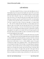 Phát triển thị trường tiêu thụ sản phẩm ở Công ty TNHH Thiết bị bán dẫn và đo lường điều biến độ rộng xung Phát Minh- chi nhánh Hà Nội