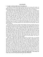 Hoàn thiện chiến lược ngành kinh doanh dịch vụ viễn thông của Tổng Cty truyền thông đa phương tiện giai đoạn 2006-2010