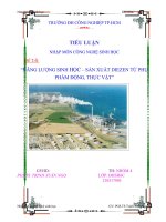 Năng lượng sinh học - sản xuất difezen từ phụ phẩm động, thực vật