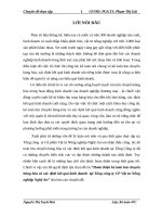 Hoàn thiện kế toán lưu chuyển hàng hóa và xác định kết quả kinh doanh tại Tổng công ty CP Vật tư Nông nghiệp Nghệ An