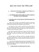 Thực trạng hoạt động sản xuất kinh doanh tại công ty dịch vụ kĩ thuật và XNK