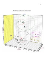Biểu đồ đan dạng của Gene 
