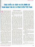 Phát triển thẻ thanh toán tại Việt Nam giai đoạn hội nhập.pdf