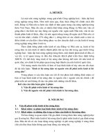 Kinh tế hộ nông dân và nguồn vốn để phát triển kinh tế hộ nông dân.doc