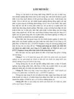 Giải pháp tài chính cần thiết đối với chiến lược phát triển của công ty cổ phần dược  và thiết bị vật tư y tế GTVT Traphaco trong điều kiện kinh tế thị trường hiện nay