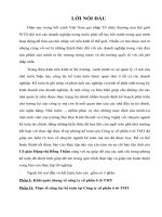 Công ty cổ phần ô tô tmt