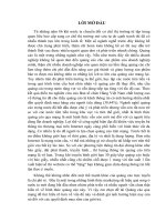 Quảng cáo qua mạng một hình thức mới và đang phát triển (66 trang)