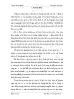 Thực trạng kế toán tiêu thụ hàng hoá và xác định kết quả tiêu thụ hàng hoá tại Công ty TNHH Phú Thái