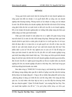 Các giải pháp nhằm nâng cao hiệu quả hoạt động kinh doanh của Cty TNHH DLT Quảng Ngãi