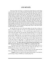 Tổ chức công tác kế toán doanh thu bán hàng và xác định kết quả bán hàng tại Công ty TNHH máy văn phòng Sing Việt.doc