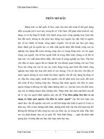 các biện pháp sử dụng có hiệu quả và thu hút đầu tư nước ngoài