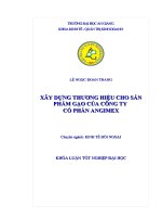 Xây dựng thương hiệu cho sản phẩm gạo của công ty Angimex (CTCP Xuất nhập khẩu An Giang)