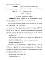 Trồng rừng phòng hộ