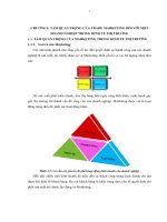 Hoàn thiện ứng dụng trade marketing vào hoạt động kinh doanh của Công ty Frieslandcampina Việt Nam từ 2010 - 2020