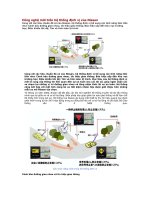 Công nghệ mới trên hệ thống định vị của nissan