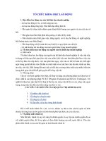 TỔ CHỨC KHOA HỌC LAO ĐỘNG 