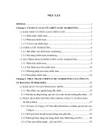 Chiến lược Marketing của Công ty CP Hoá dầu Petrolimex