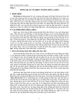 Hiện tượng đô-la hóa