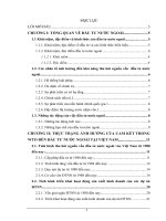 Ảnh hưởng của cam kết trong tổ chức WTO đến hoạt động đầu tư nước ngoài của Việt Nam và giải pháp