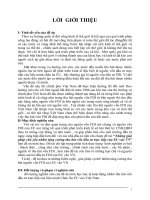 Những giải pháp chủ yếu nhằm tăng cường thu hút vốn đầu tư trực tiếp của EU vào VN .doc