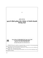 Quyết định giám đốc về kinh doanh thương mại