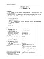 Giáo án môn Tập đọc lớp 3 - Tuần 21