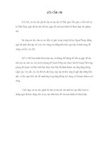 Marketing và hãng hàng không quốc gia việt nam