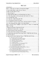 hạch toán kế toán tại Công ty TNHH Phát triển Tin học