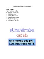 Ảnh hưởng của pH, CO2, H2S trong nuôi trồng thủy sản