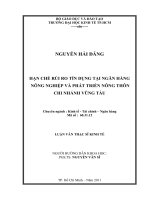 Hạn chế rủi ro tín dụng tại Ngân hàng NNo&PTNT chi nhánh Vũng Tàu