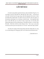 Báo cáo Thực trạng và giải pháp marketing địa phương thu hút lượng khách vào Côn đảo”