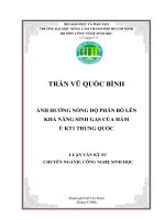 Ảnh hưởng nồng độ phân bò lên khả năng sinh gas của hầm ủ KT1 trung quốc