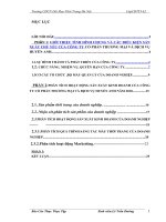 Phân tích tình hình họat động sản xuất kinh doanh của công ty cổ phần thương mại và dịch vụ Huyền Anh