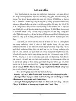 Hoàn thiện các chính sách marketing – mix ở Công ty TNHH Đầu tư thương mại và phát triển Thành Công