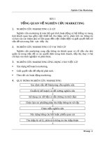 Tổng quan về nghiên cứu marketing