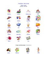 Học Từ Vựng Bằng Hình Ảnh Trực Quan