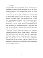 Những vấn đề về Du lịch biển Việt Nam