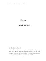 Mô hình rút trích cụm từ đặc trưng ngữ nghĩa trong tiếng việt 02