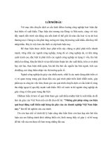 Những giải pháp nâng cao hiệu quả hoạt động XK mặthàng da giày của các DN VN hiện nay