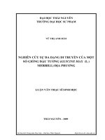 Nghiên  cứu sự đa dạng di truyền của một số giống đâuụ tương