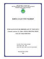 Tinh sạch EnZyme Bromelain từ thân dứa